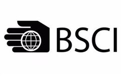 2020驗廠新風(fēng)向